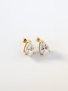 Amalfi Stud