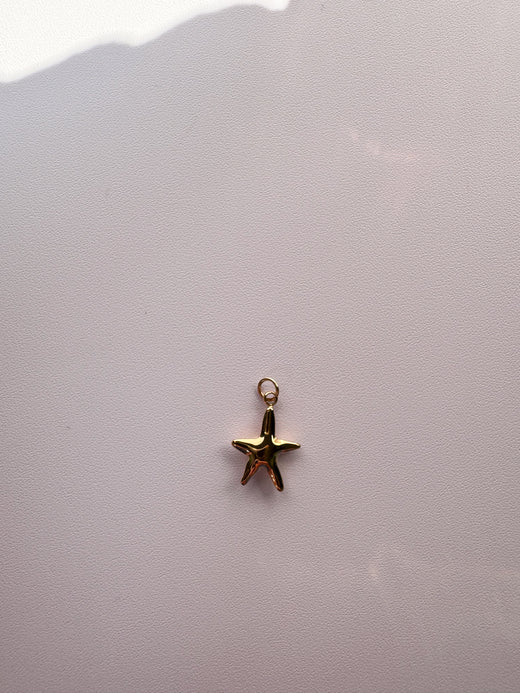 Star Charm