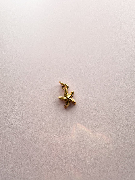 Mini Starfish Charm