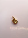 Spiral Shell