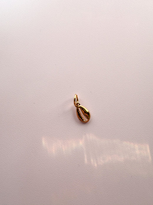 Coffee Bean Shell - mini