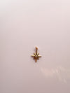 North Star Charm