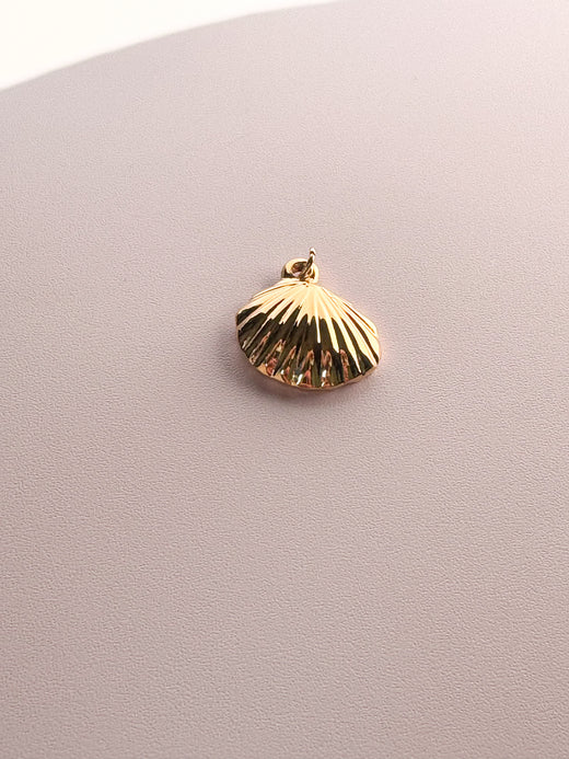 Seashell Charm